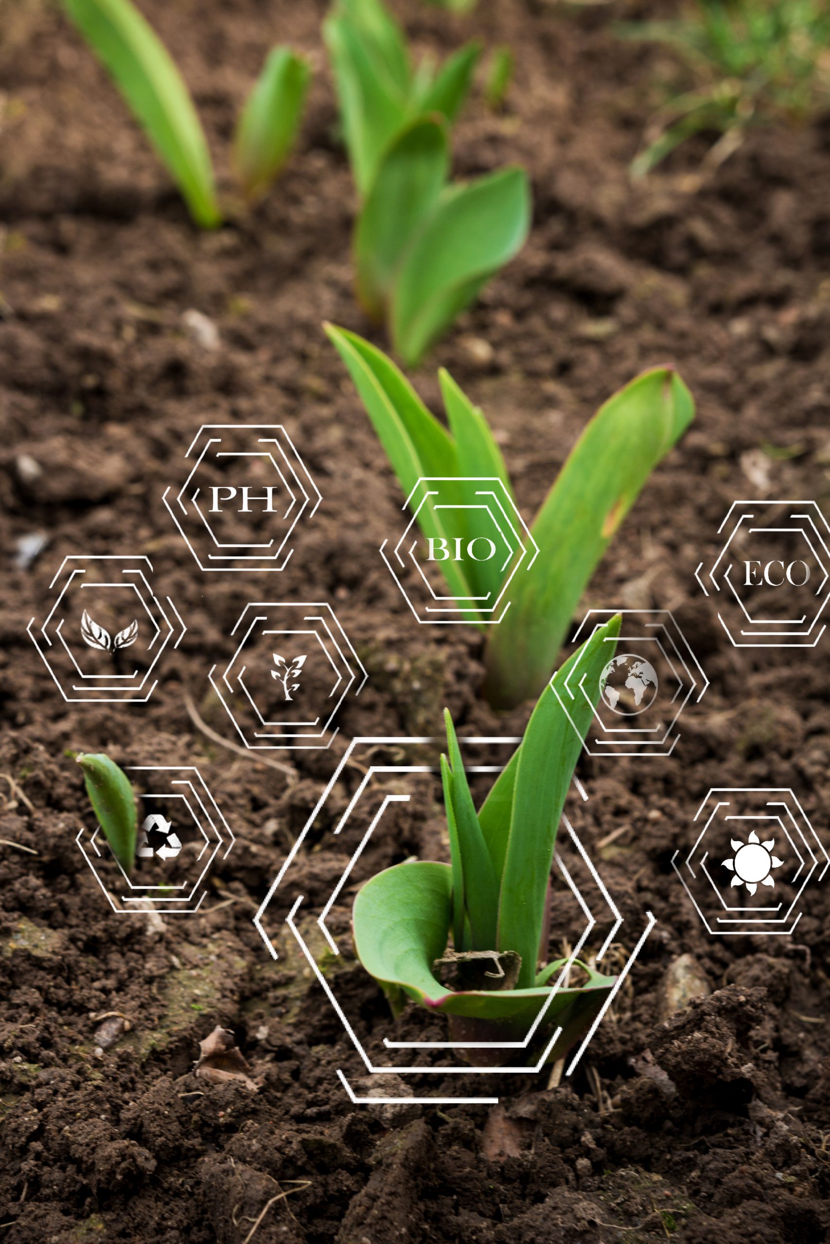 Giovani piante e tecnologie per l'agricoltura sostenibile